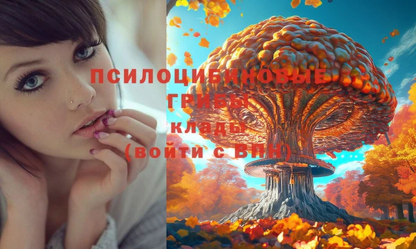 прущий лед Магадан