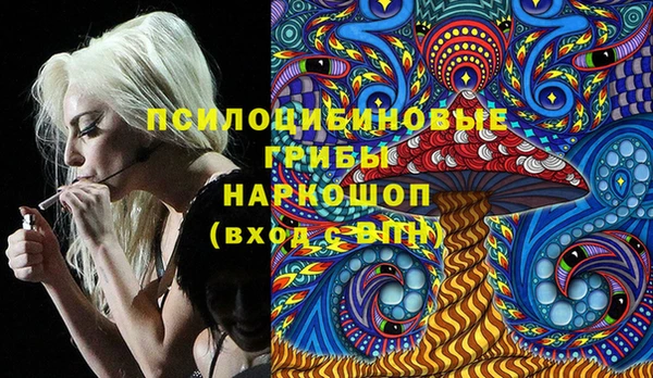 стафф Волоколамск